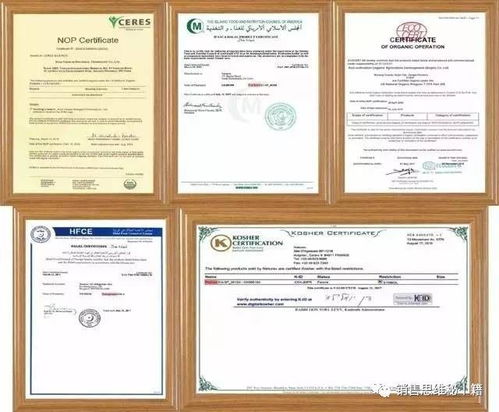 调理与治疗的完美结合 一位肺癌患者的康复之旅